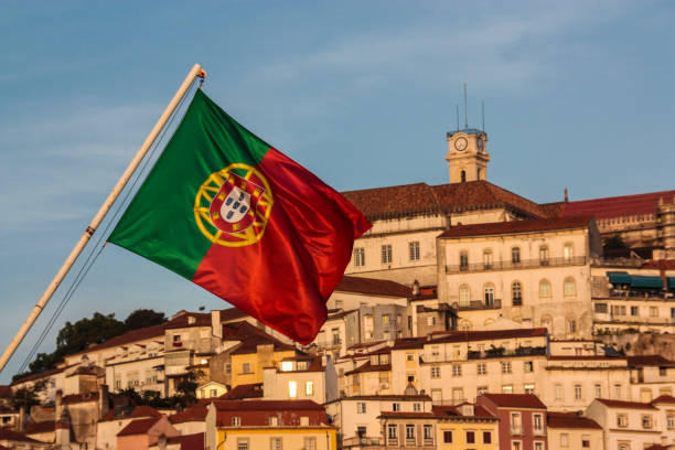Leia mais sobre o artigo O papel do azeite na culinária portuguesa