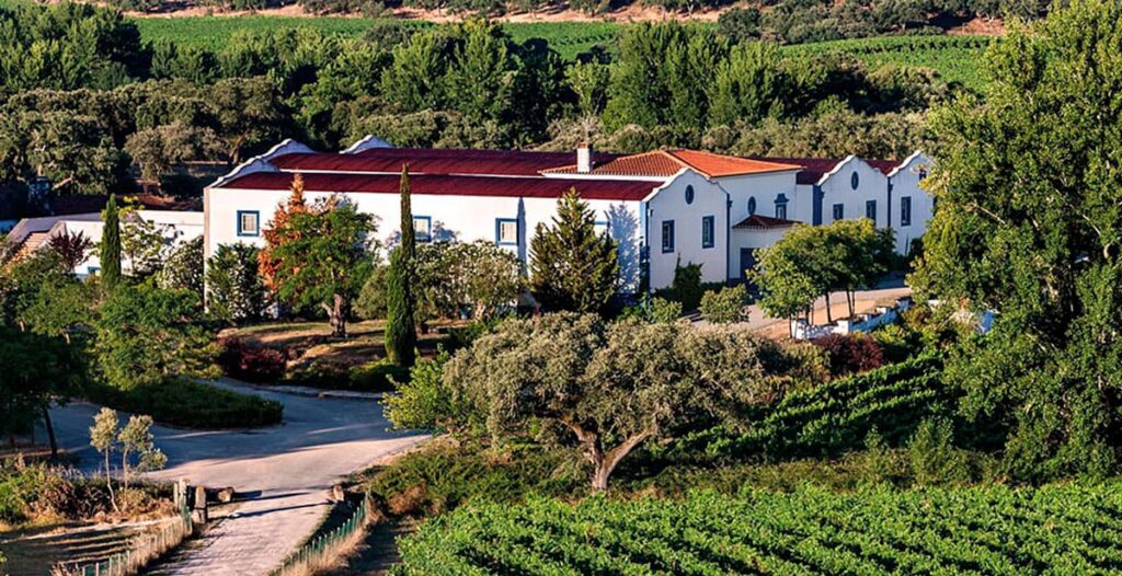 As 9 Vinicolas portuguesas mais famosas