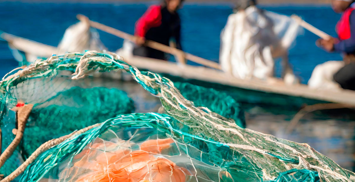 Leia mais sobre o artigo Sustentabilidade e Qualidade: Origem do Bacalhau